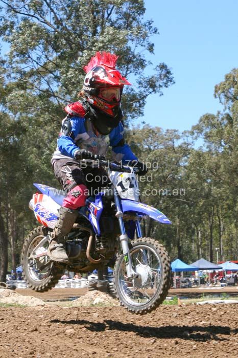 444x677 pixels (90K)